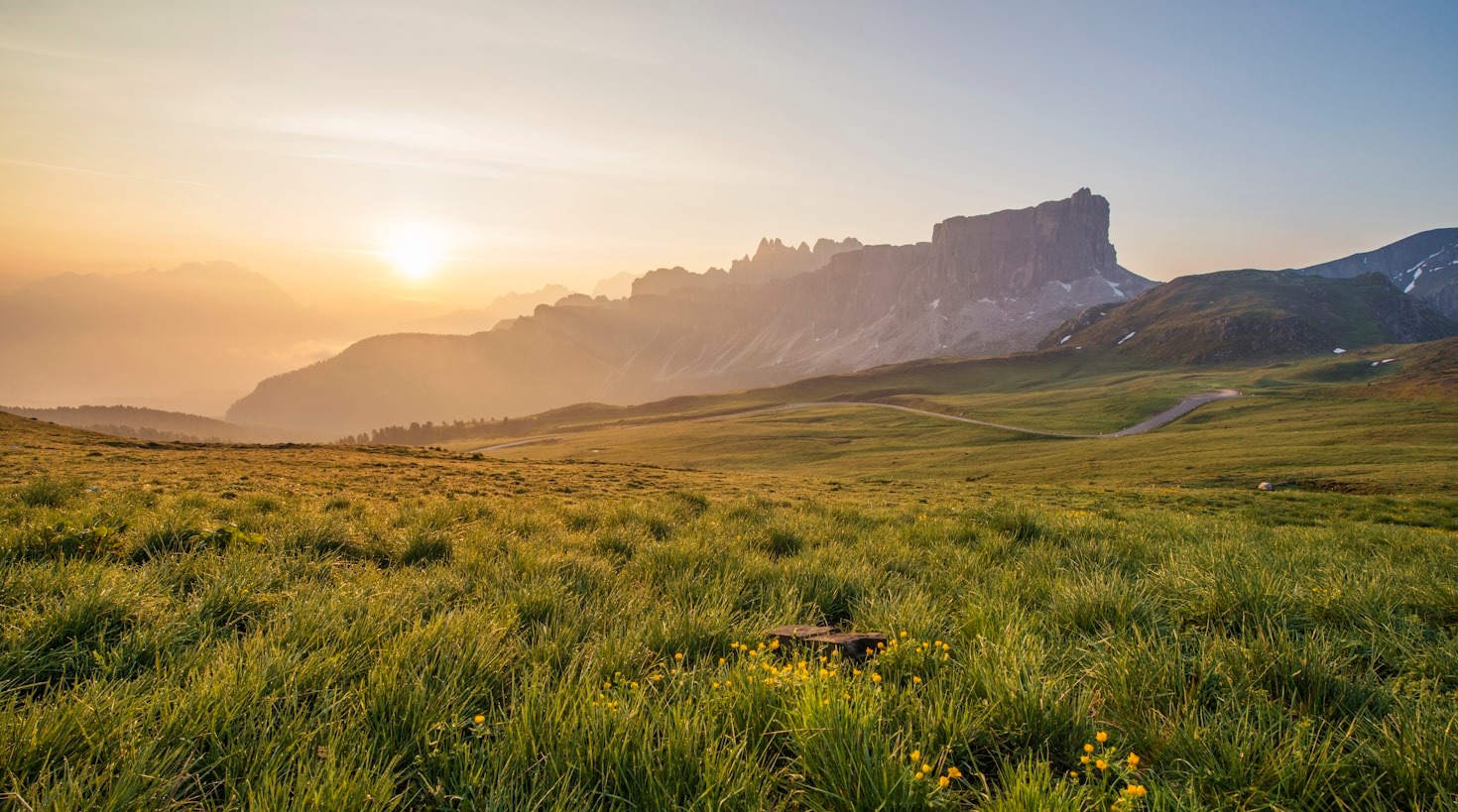 Predictive Analytics in Modern Landscape Architecture